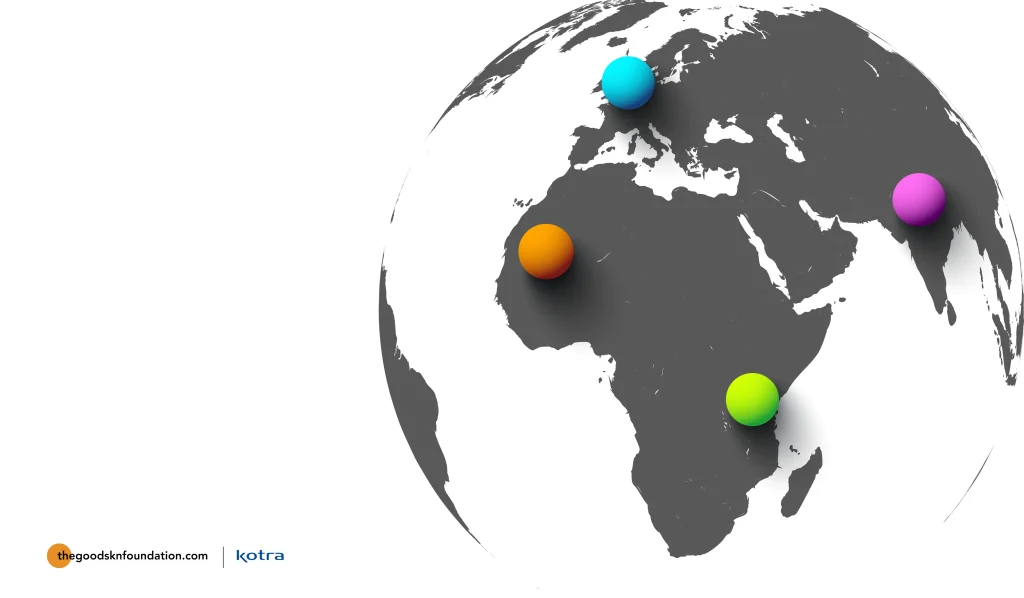 Skn Studio Partnership Programme